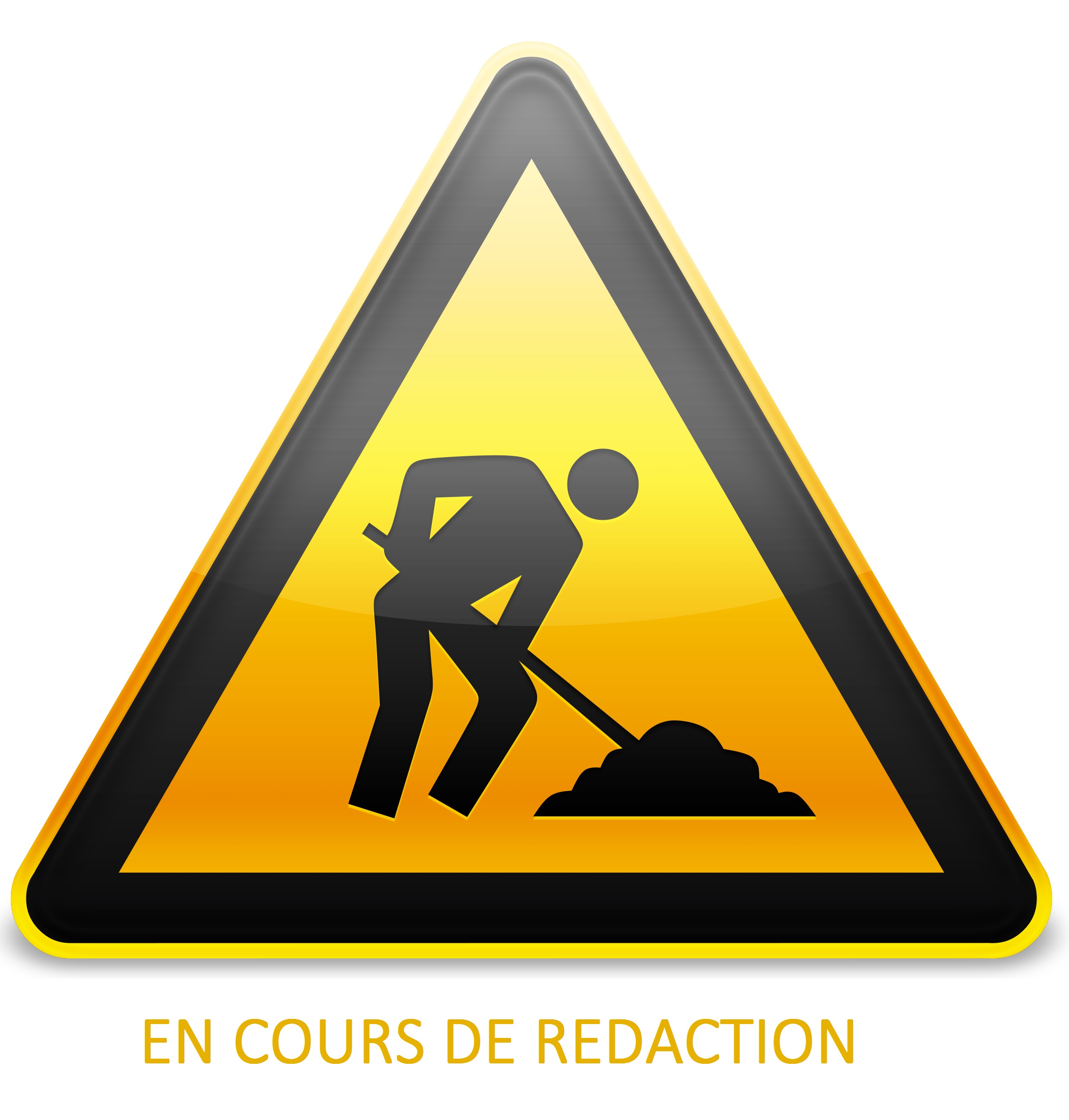 EN COURS DE REDACTION